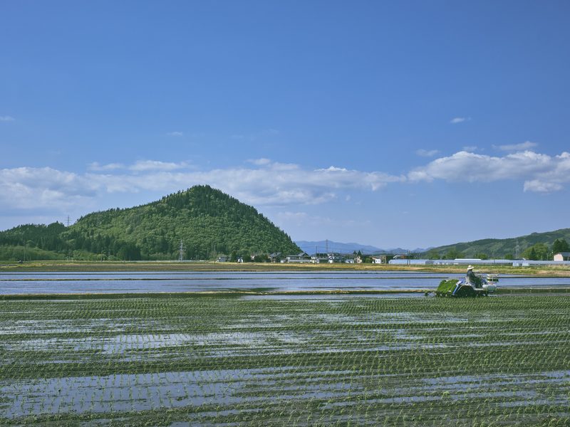 比内地区