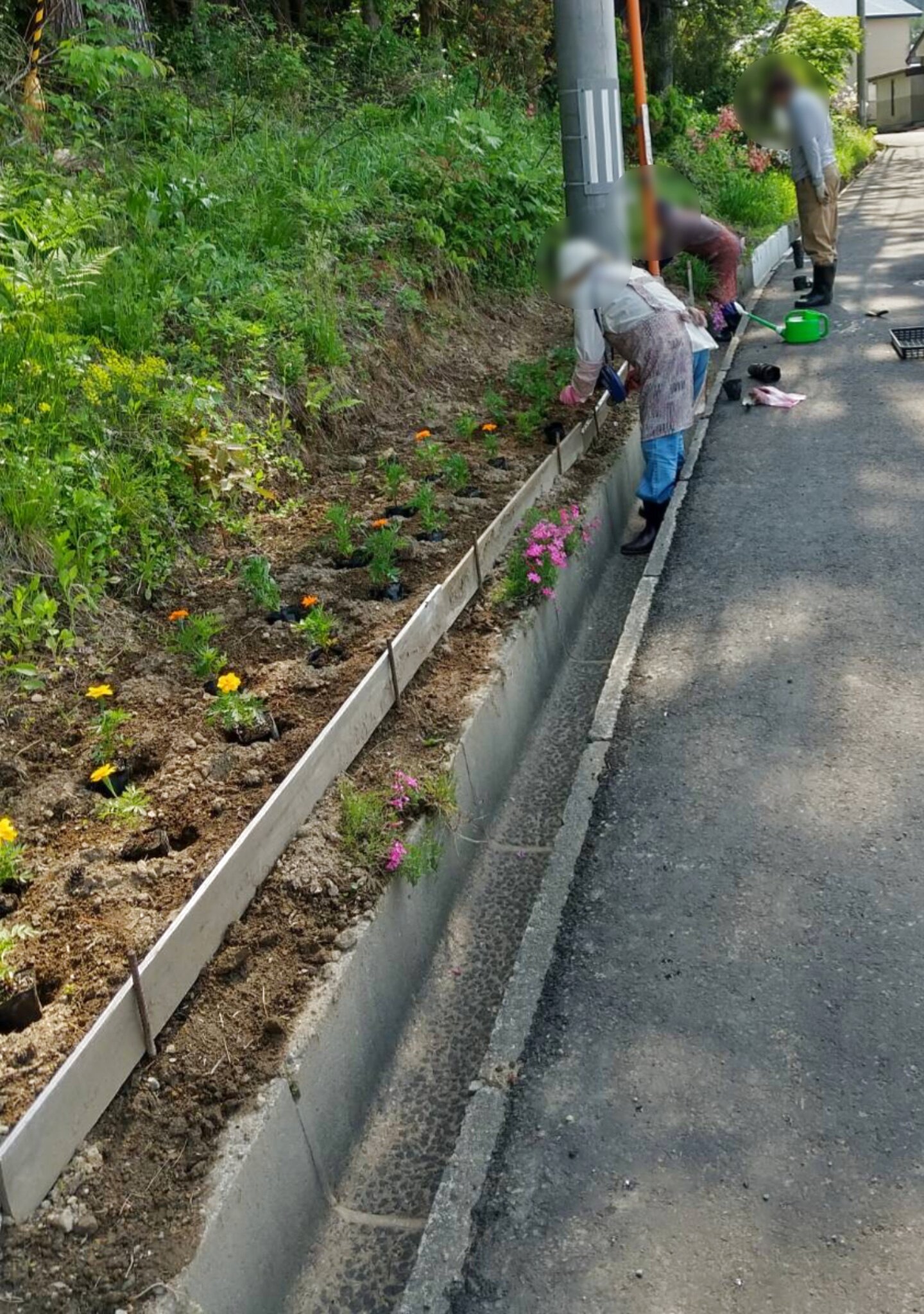 花苗植えの作業の様子